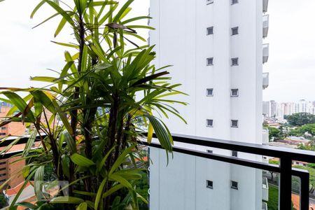 Apartamento à venda com 243m², 2 quartos e 3 vagasVaranda Suite 1