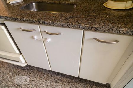 Apartamento à venda com 79m², 3 quartos e 2 vagasArmário da Cozinha
