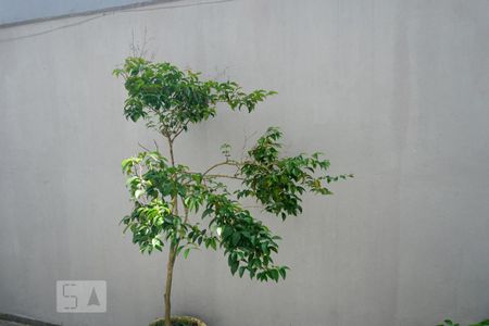 Casa à venda com 400m², 7 quartos e 2 vagasVista da Casa 1 - Quarto 2