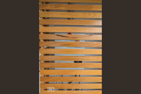 Apartamento para alugar com 47m², 1 quarto e 1 vagaDetalhe da Varanda