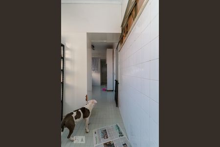 Apartamento à venda com 220m², 3 quartos e 2 vagas Apartamento à venda com 220m², 3 quartos e 2 vagasÁrea de serviço