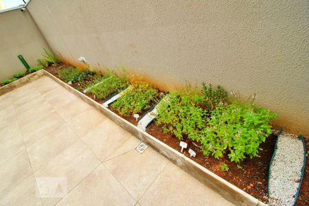 Apartamento à venda com 47m², 2 quartos e 1 vagaÁrea Comum - Horta