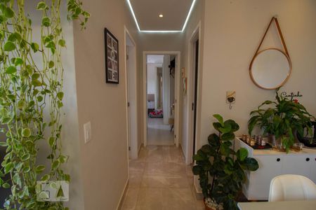 Corredor de apartamento para alugar com 2 quartos, 55m² em Parque Itália, Campinas