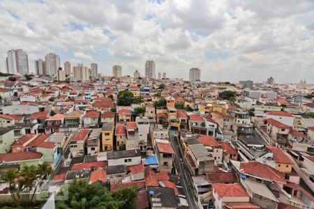 Vista  de apartamento para alugar com 3 quartos, 140m² em Chora Menino, São Paulo