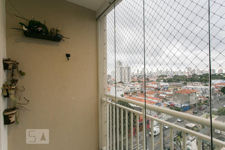 Varanda de apartamento para alugar com 3 quartos, 59m² em Alto da Mooca, São Paulo