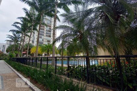 Área comum - Piscina de apartamento para alugar com 3 quartos, 143m² em Jacarepaguá, Rio de Janeiro