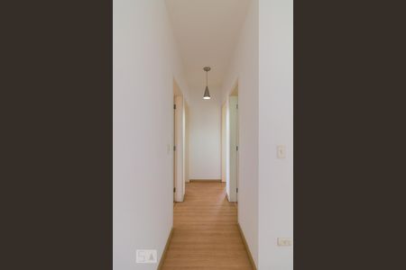 Corredor de apartamento para alugar com 3 quartos, 84m² em Vila São Judas, Guarulhos