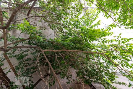 Casa à venda com 198m², 3 quartos e 3 vagasVista do Quarto 2