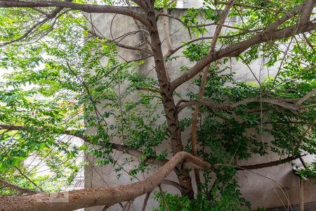 Casa à venda com 198m², 3 quartos e 3 vagasVista do Quarto 1