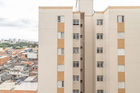 Vista da Sala de apartamento para alugar com 3 quartos, 60m² em Vila Pierina, São Paulo