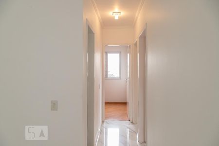 Corredor de apartamento para alugar com 3 quartos, 60m² em Vila Pierina, São Paulo