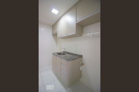Apartamento para alugar com 49m², 2 quartos e 1 vagaCozinha - Armários
