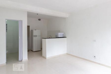 Sala/Quarto de kitnet/studio para alugar com 1 quarto, 28m² em Parque Sao Luis, São Paulo