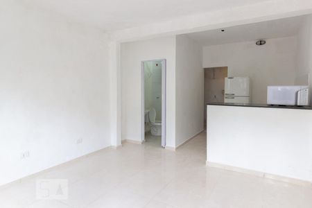 Sala/Quarto de kitnet/studio para alugar com 1 quarto, 28m² em Parque Sao Luis, São Paulo