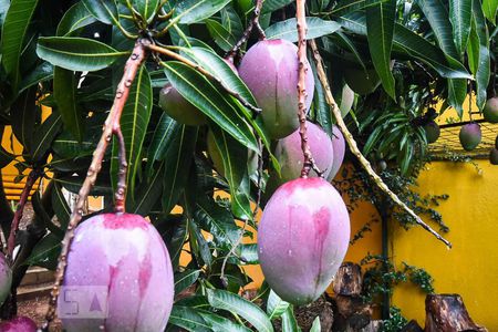 Casa à venda com 920m², 4 quartos e 6 vagas Casa à venda com 920m², 4 quartos e 6 vagasPomar