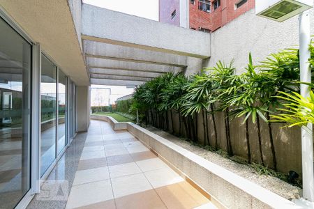 Apartamento para alugar com 85m², 3 quartos e 2 vagasÁrea comum