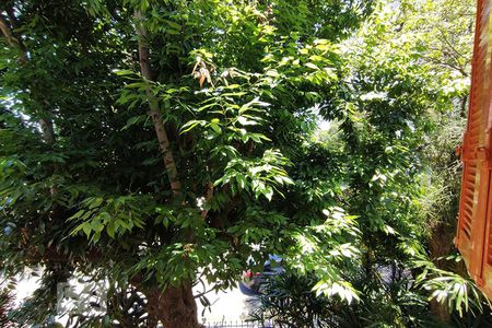 Casa à venda com 180m², 5 quartos e 1 vagaVista do Quarto 3