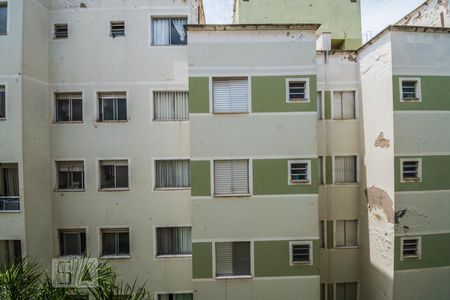 Vista do Quarto de apartamento para alugar com 2 quartos, 50m² em Jardim Nova Europa, Campinas
