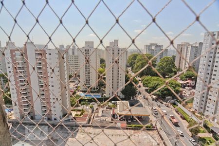 Vista do Quarto de apartamento para alugar com 2 quartos, 56m² em Jardim Íris, São Paulo
