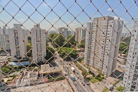Vista de apartamento para alugar com 2 quartos, 56m² em Jardim Íris, São Paulo