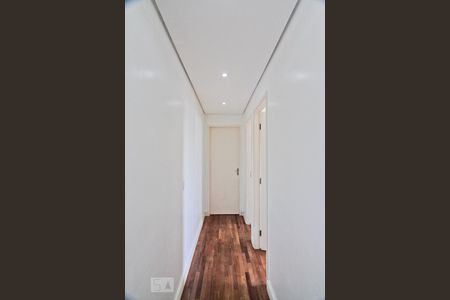 Corredor de apartamento para alugar com 2 quartos, 56m² em Jardim Íris, São Paulo