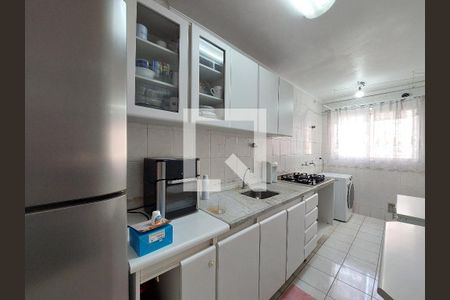 Cozinha de apartamento para alugar com 3 quartos, 82m² em Jardim Ubirajara, São Paulo