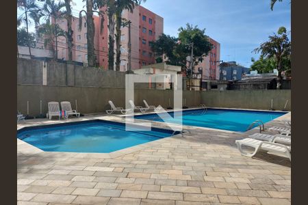 Área comum - Piscina de apartamento para alugar com 3 quartos, 82m² em Jardim Ubirajara, São Paulo