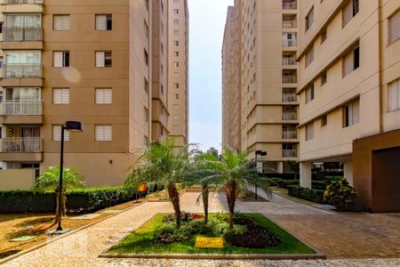 Área comum de apartamento à venda com 2 quartos, 64m² em Ponte Grande, Guarulhos