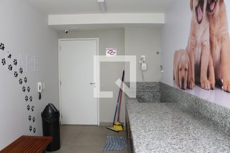 Apartamento para alugar com 34m², 2 quartos e sem vagaPet Care