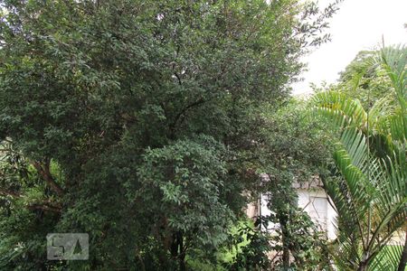 Vista de apartamento para alugar com 2 quartos, 52m² em Jardim Iracema, São Paulo