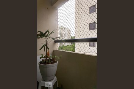 Varanda de apartamento para alugar com 2 quartos, 55m² em Jardim das Flores, São Paulo