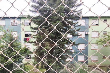 Vista do Quarto 2 de apartamento para alugar com 2 quartos, 49m² em Canudos, Novo Hamburgo