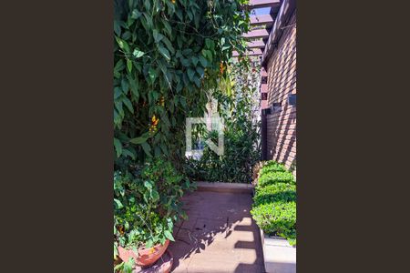 Apartamento para alugar com 70m², 3 quartos e 1 vagaÁrea Comum