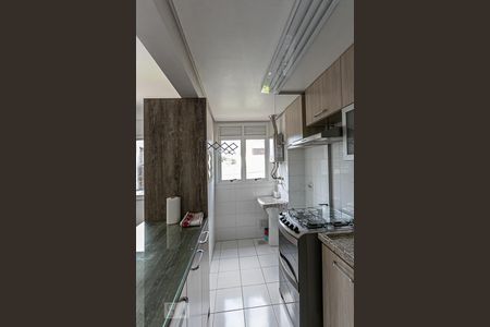 Cozinha de apartamento para alugar com 2 quartos, 55m² em Partenon, Porto Alegre