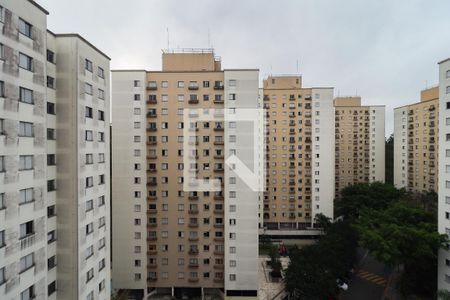 Apartamento para alugar com 80m², 3 quartos e 2 vagas Apartamento para alugar com 80m², 3 quartos e 2 vagasVista do Quarto 2