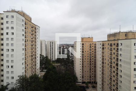 Apartamento para alugar com 80m², 3 quartos e 2 vagas Apartamento para alugar com 80m², 3 quartos e 2 vagasVista do Quarto 1