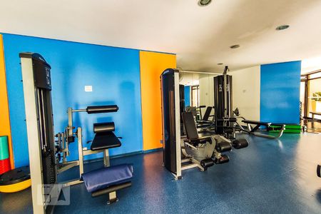 Apartamento para alugar com 239m², 4 quartos e 3 vagas Apartamento para alugar com 239m², 4 quartos e 3 vagasÁrea Comum - Playground