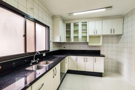 Apartamento para alugar com 239m², 4 quartos e 3 vagas Apartamento para alugar com 239m², 4 quartos e 3 vagasCozinha