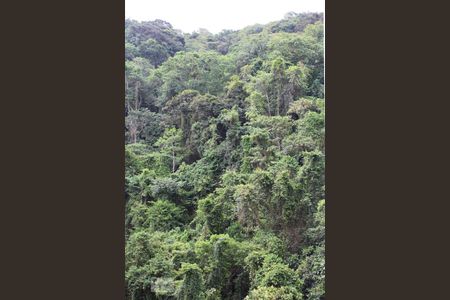 Apartamento para alugar com 178m², 3 quartos e 2 vagasVista quarto 1