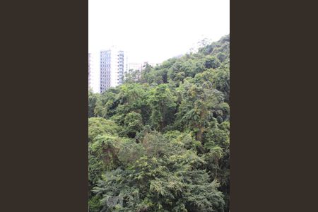 Apartamento para alugar com 178m², 3 quartos e 2 vagasVista varanda sala