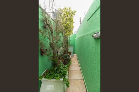 Casa para alugar com 190m², 3 quartos e 1 vagaArea Comum