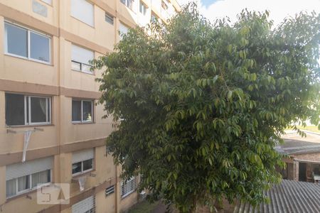 Vista da Rua de apartamento para alugar com 2 quartos, 60m² em Partenon, Porto Alegre