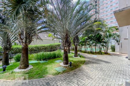Apartamento para alugar com 44m², 2 quartos e sem vagaArea Comun