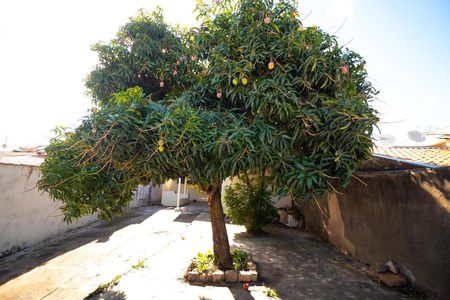 Casa à venda com 90m², 3 quartos e 6 vagasQuintal