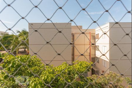 Vista do Quarto 1 de apartamento para alugar com 2 quartos, 55m² em Jardim Amazonas, Campinas