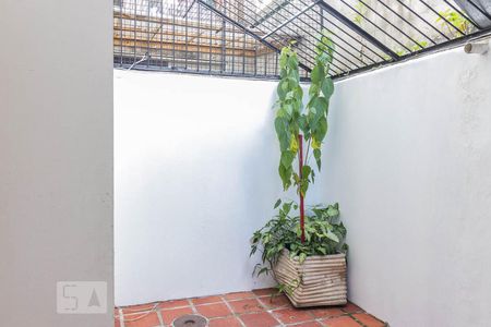 Apartamento à venda com 174m², 3 quartos e 1 vagaQuintal