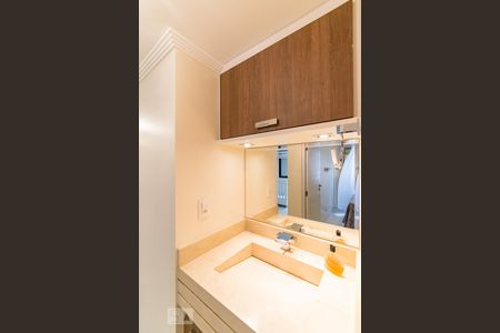 Banheiro Social de apartamento para alugar com 2 quartos, 60m² em Vila Santa Catarina, São Paulo