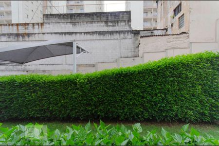 Apartamento para alugar com 61m², 3 quartos e 1 vagaVista Quarto 2