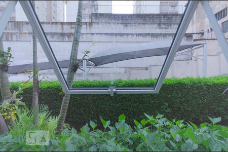 Vista Sala de apartamento para alugar com 3 quartos, 61m² em Vila Pierina, São Paulo