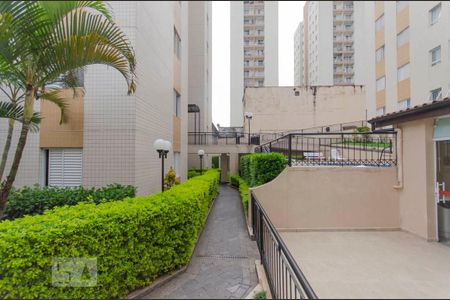 Apartamento para alugar com 61m², 3 quartos e 1 vagaÁrea Comum